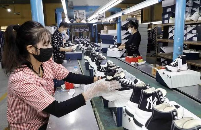 Doanh nghiệp cần chuẩn hóa hồ sơ truy xuất nguồn gốc và xây dựng hệ thống quản trị dữ liệu minh bạch.