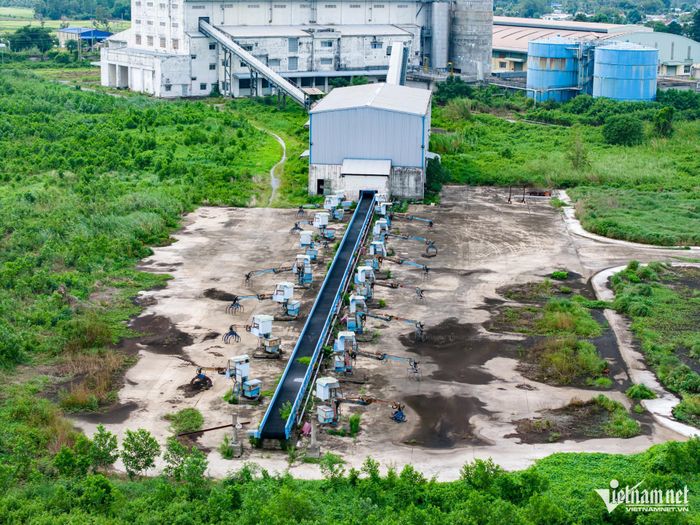 Dự án Nhà máy bột giấy Phương Nam, xã Thạnh Hóa, tỉnh Tây Ninh (Long An cũ) là một trong số những trường hợp thua lỗ kéo dài, khó xử lý nhất của ngành Công Thương. Ảnh: Nguyễn Huế