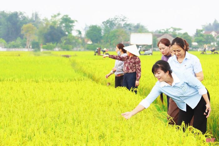 Công tác tuyên truyền, vận động của chính quyền và các tổ chức hội đã góp phần đem lại hiệu quả trong công tác chuyển đổi, tập trung ruộng đất tại Đức Thọ.