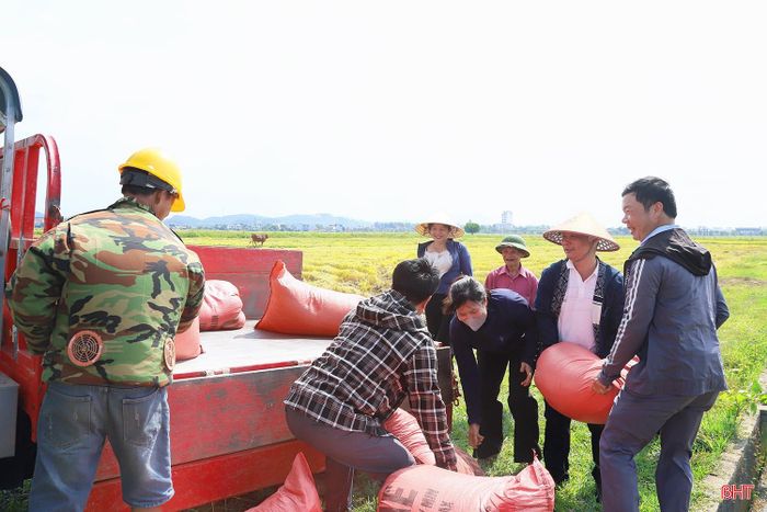 Lúa xuân cho năng suất tốt, niềm vui hiện rõ trên gương mặt người nông dân Đức Thọ mùa thu hoạch.