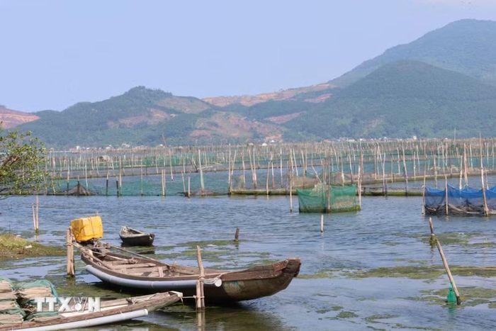 Điểm quy hoạch nuôi trồng thủy sản trên đầm phá Tam Giang-Cầu Hai đoạn xã Vinh Lộc. (Ảnh: Kha Phạm/TTXVN)