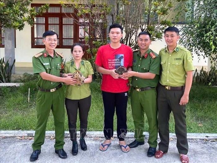Hạt Kiểm lâm khu vực XVI phối hợp với Công an phường Kon Tum (Quảng Ngãi) tiếp nhận hai cá thể rùa quý hiếm từ em Lê Anh Duy. Ảnh: TTXVN phát