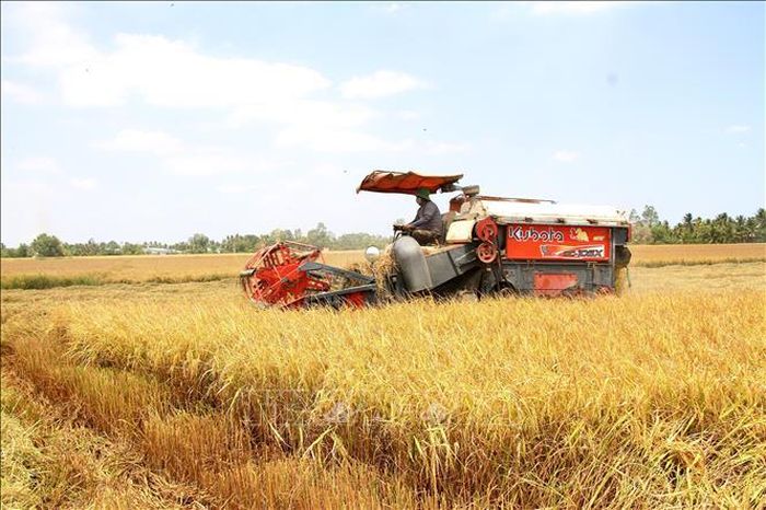 Cơ giới hóa trong sản xuất góp phần mang lại diện mạo phát triển cho các phum sóc vùng đồng bào dân tộc thiểu số trên địa bàn tỉnh Cà Mau. Ảnh: Chanh Đa/TTXVN