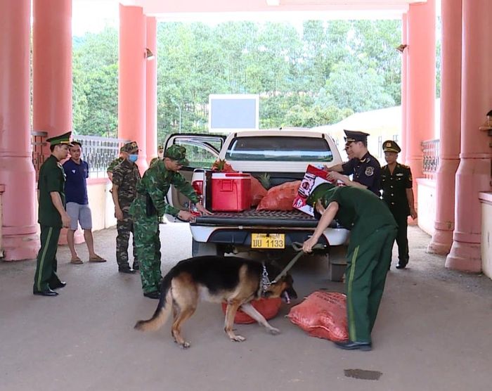 Lực lượng chức năng phối hợp kiểm tra ngay tại Cửa khẩu Quốc tế Na Mèo, quyết tâm không để lọt tội phạm.