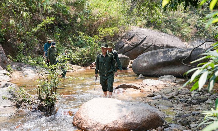 Lực lượng chuyên trách của Ban Quản lý rừng phòng hộ Đà Nẵng tuần tra, bảo vệ rừng. Ảnh: HỒ QUÂN