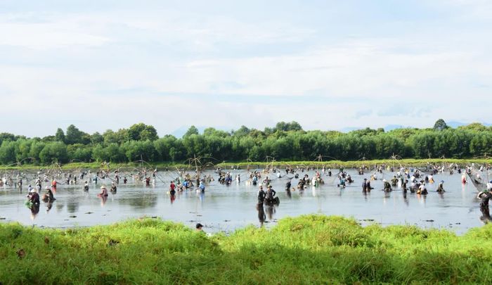 Lễ hội phá trằm là một trong những hoạt động điểm nhấn thu hút du khách, người dân đến với Khu du lịch sinh thái trằm Trà Lộc - Ảnh: Đ.V
