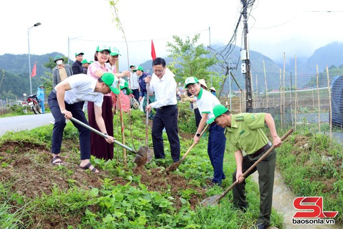 Các đại biểu tham gia trồng cây.