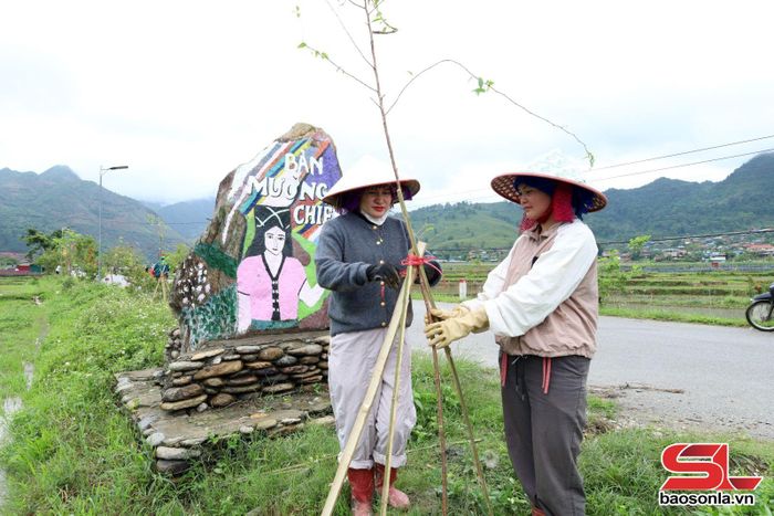Nhân dân tham gia trồng cây.