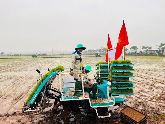 Hà Nội đẩy mạnh đưa cơ giới hóa vào sản xuất lúa giúp nâng cao năng suất và giảm chi phí sản xuất. Ảnh: PV