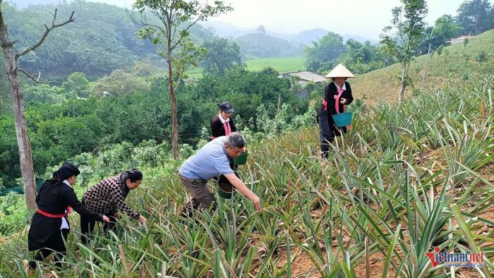 Người dân chủ động ứng dụng tiến bộ kỹ thuật vào sản xuất và phát triển kinh tế.