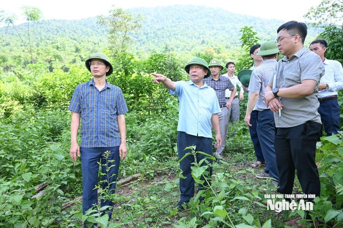 Đồng chí Nguyễn Văn Đệ - Ủy viên Ban Thường vụ Tỉnh ủy, Phó Chủ tịch UBND tỉnh khảo sát khu vực tái định cư tập trung cho 125 hộ dân tại khu vực Piêng Sẹt. Ảnh: Thành Cường