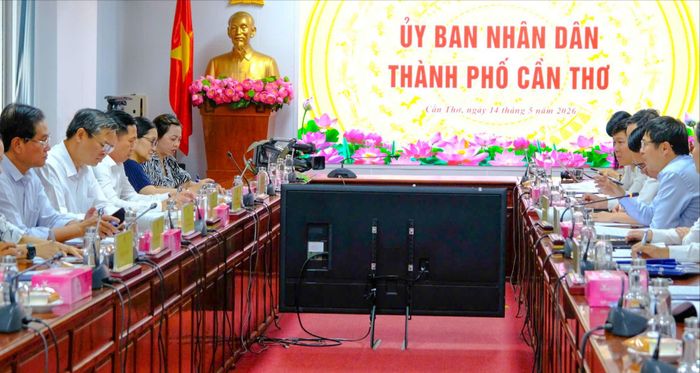 Quang cảnh buổi làm việc