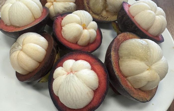Măng cụt tốt cho sức khỏe nhưng nhiều người cần thận trọng khi ăn. Ảnh: Hoa Linh.