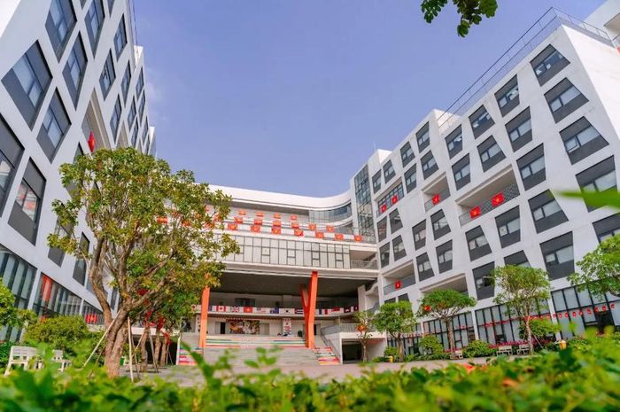 Một góc không gian học tập xanh tại Phenikaa School. Ảnh: Phenikaa School