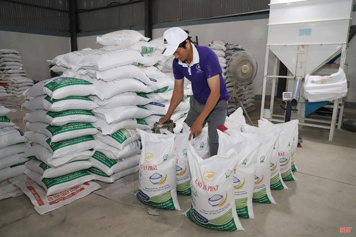 Công ty TNHH Khoa học và công nghệ An Phát đã cung cấp gạo cho nhiều doanh nghiệp lớn trên địa bàn tỉnh.