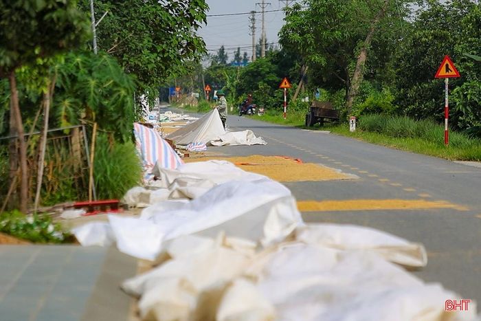 Nhiều vật cản như gạch đá, tấm ván... được người dân dùng chắn hai đầu để phơi lúa.
