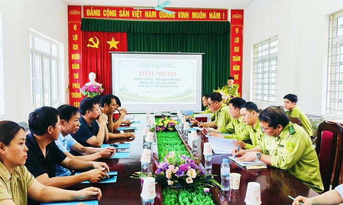 Các đại biểu dự hội nghị tập huấn. 