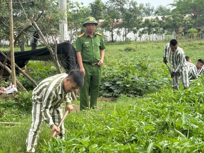 Phạm nhân lao động.