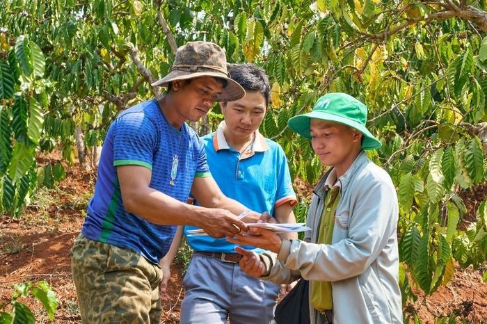 ofi Việt Nam triển khai dự án cung cấp hệ thống tưới nước cho nông dân cà phê tại Lâm Đồng.