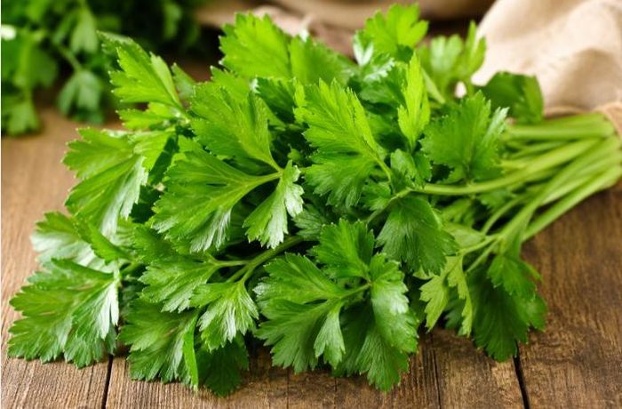 Lá cần tây – phần thường bị bỏ đi trong nấu ăn nhưng lại có tác dụng tốt với gan và tiêu hóa.