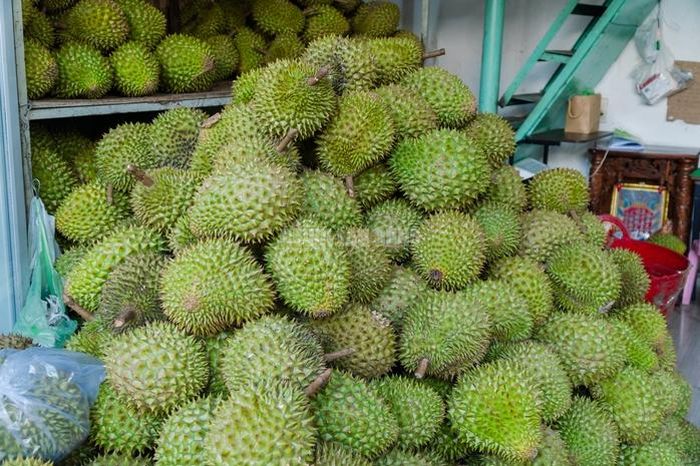 Anh Thanh cho biết năm nay, sầu riêng giá rẻ hơn những năm trước nên lượng khách đến cửa hàng của anh luôn đông đúc. Mỗi ngày, cửa hàng bán đến 1 tấn sầu riêng.