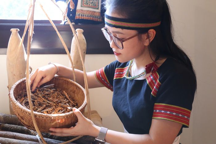  Quế Trà My từ lâu nổi tiếng là một trong những loại quế có chất lượng hàng đầu Việt Nam 
