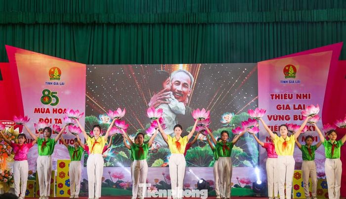  Theo anh Hiếu, cùng với sự phát triển của công tác Đội và phong trào thiếu nhi cả nước, Đội TNTP Hồ Chí Minh tỉnh Gia Lai đã không ngừng đổi mới, lớn mạnh với hơn 347.000 đội viên, thiếu niên, nhi đồng; hơn 1.000 giáo viên làm Tổng phụ trách Đội trong các trường học, cán bộ phụ trách thiếu nhi ở địa bàn dân cư, cán bộ chuyên trách và đội ngũ cộng tác viên tại các cơ sở Đội, Trung tâm Hoạt động Thanh thiếu nhi tỉnh... 
