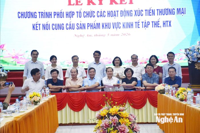 Ký Biên bản ghi nhớ hợp tác giữa Liên minh HTX các tỉnh. Ảnh: T.N