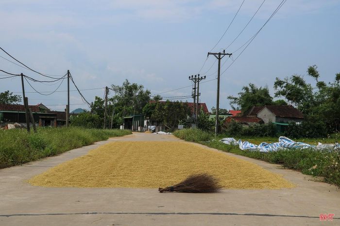 Vào mùa gặt, nhiều tuyến đường trên địa bàn tỉnh bị chiếm dụng làm sân phơi lúa.