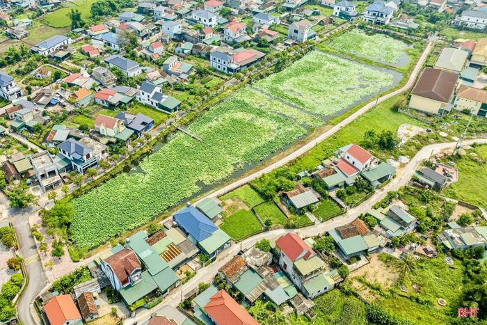 Thời điểm này, nhiều đầm sen ở Hà Tĩnh đang vào mùa nở rộ, bên cạnh mang lại nguồn thu nhập cho các hộ gia đình, vườn sen còn trở thành điểm đến lý tưởng để người dân và du khách chụp ảnh, lưu giữ kỷ niệm.
