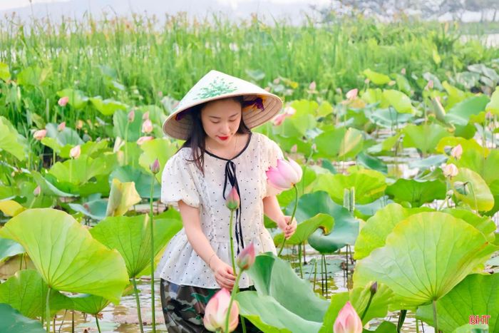 Được tự tay hái những bông sen yêu thích, chị Lê Huyền Trang (xã Sơn Tây) cho biết: "Tôi đã tìm hiểu và canh từ trước khoảng một tháng để có thể đến đúng mùa, tự tay hái và mua những bông sen đẹp nhất. Cảm giác được hòa mình vào không gian đầm sen rất thú vị”.
