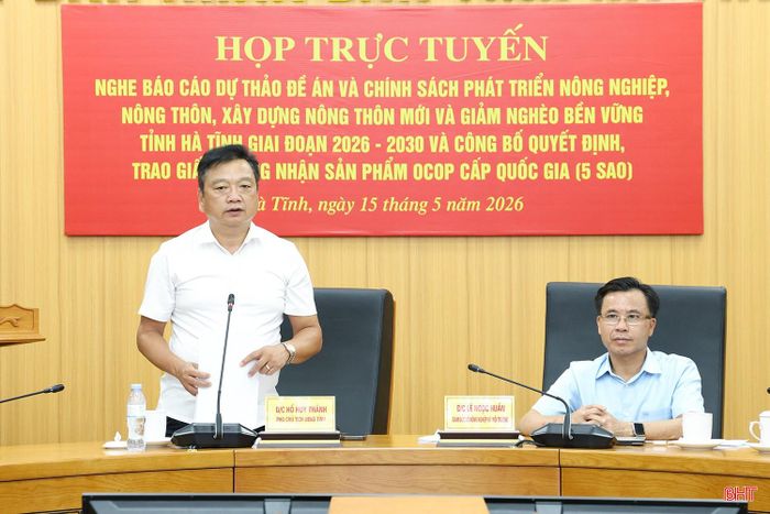 Phó Chủ tịch UBND tỉnh Hồ Huy Thành phát biểu kết luận tại cuộc họp.