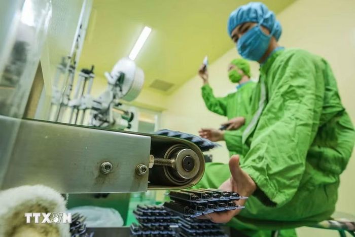 Công ty cổ phần dược Lâm Đồng - Ladophar là đơn vị tiên phong trong lĩnh vực dược liệu thiên nhiên tại Việt Nam với các sản phẩm chăm sóc sức khỏe chất lượng cao, đặc biệt từ cây Atiso – dược liệu đặc trưng của cao nguyên Lâm Đồng. (Ảnh: Hoàng Hiếu/TTXVN)