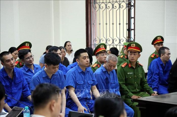 Các bị cáo tại phiên xét xử. Ảnh: Đức Hiếu/TTXVN