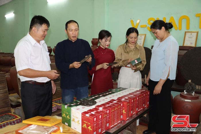 Sản phẩm chè của Hợp tác xã sản xuất chè V-Shantea ở tiểu khu Búc, xã Phù Yên.