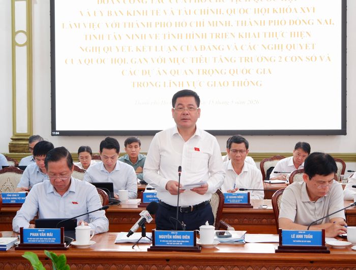 Phó Chủ tịch Quốc hội Nguyễn Hồng Diên phát biểu tại cuộc làm việc