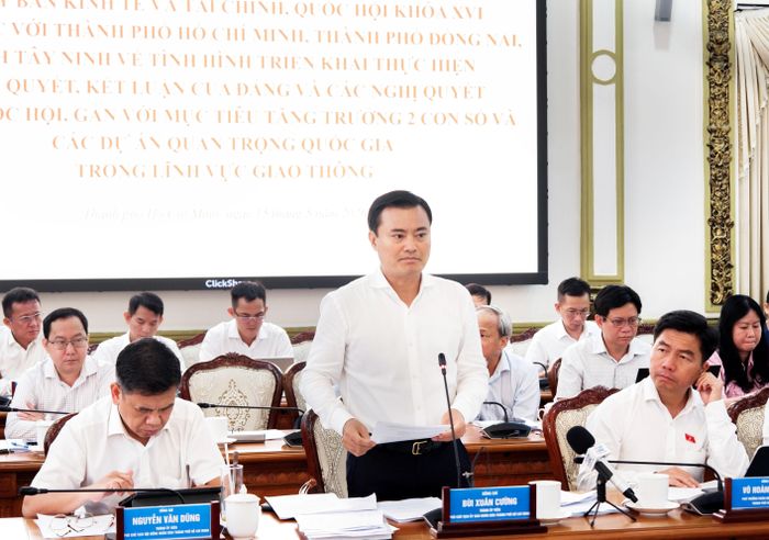 Phó Chủ tịch UBND TP. Hồ Chí Minh Bùi Xuân Cường phát biểu