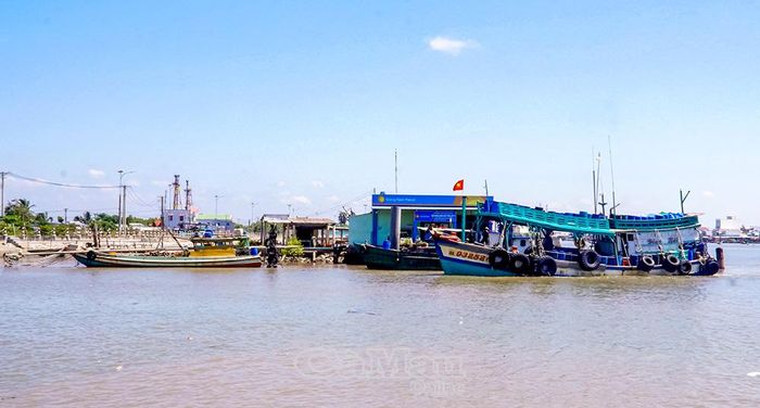 Các xã: Sông Đốc, Gành Hào, Tân Thuận được quy hoạch xây dựng thành đô thị biển, phát triển mạnh dịch vụ hậu cần nghề cá, công nghiệp chế biến thủy sản và thương mại - du lịch.