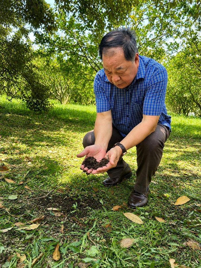 TSKH Hà Phúc Mịch kiểm tra chất đất tại vườn bưởi hữu cơ ở xã Minh Thạnh.