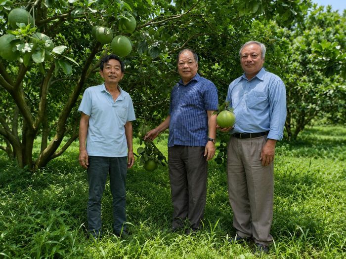 TSKH Hà Phúc Mịch và TS Đỗ Việt Hà tham quan mô hình trồng bưởi hữu cơ của ông Bùi Thiện Trúc tại xã Minh Thạnh (TP.HCM).