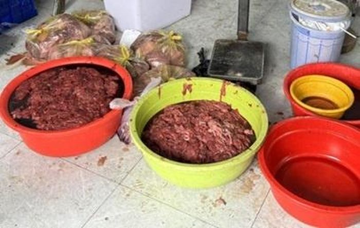  Thịt heo nái được "hô biến" thành thịt bò và bán ra thị trường. Ảnh: Công an TPHCM. 