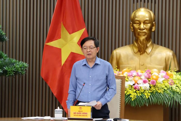  Phó thủ tướng Hồ Quốc Dũng chỉ đạo tại cuộc họp vừa qua. Ảnh: VGP/Gia Huy. 