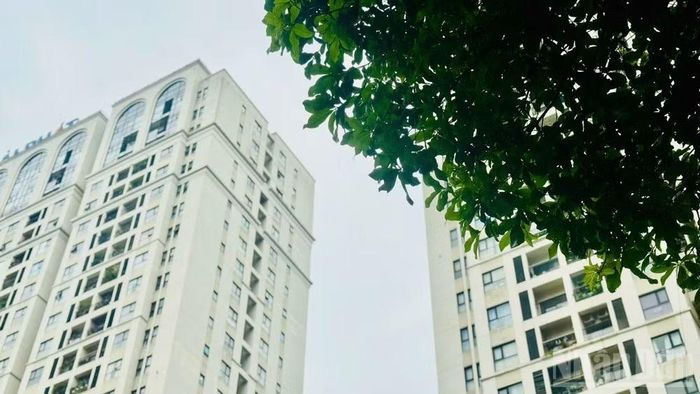 Xu hướng mở rộng ra các khu vực ngoài trung tâm cũng đang dần rõ nét hơn với phân khúc văn phòng.