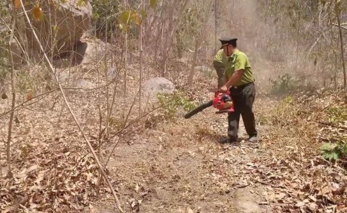 Cứ cao điểm mùa khô, lực lượng kiểm lâm túc trực 24/24, tổ chức phát dọn nhằm hạn chế cháy lan trên diện rộng