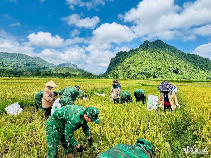 Hoạt động tập trung hỗ trợ các hộ gia đình chính sách, hộ có hoàn cảnh khó khăn thiếu nhân lực lao động.