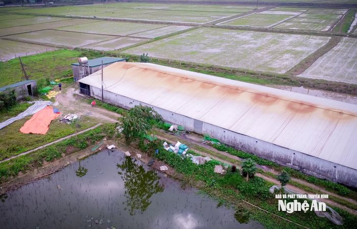 Hệ thống chuồng trại chăn nuôi tự động của gia đình ông Nguyễn Cảnh Đồng. Ảnh: P.V