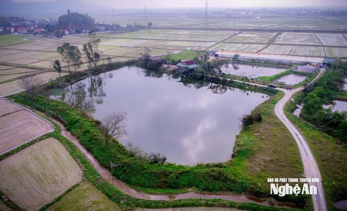 Khu vực trang trại của gia đình ông Nguyễn Cảnh Đồng, xóm Mỹ Sơn, xã Đại Huệ, sẽ được bàn giao giải phóng mặt bằng phục vụ thi công cao tốc. Ảnh: P.V