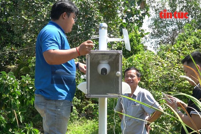 Người dân và doanh nghiệp lắp đặt bẫy côn trùng nhằm kiểm soát dịch hại tại vùng trồng phục vụ xuất khẩu.