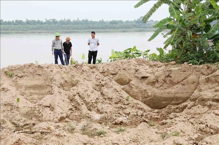 Hàng nghìn mét khối đất bị đào, múc trộm để lại những hố sâu. Ảnh: Thế Duyệt/TTXVN