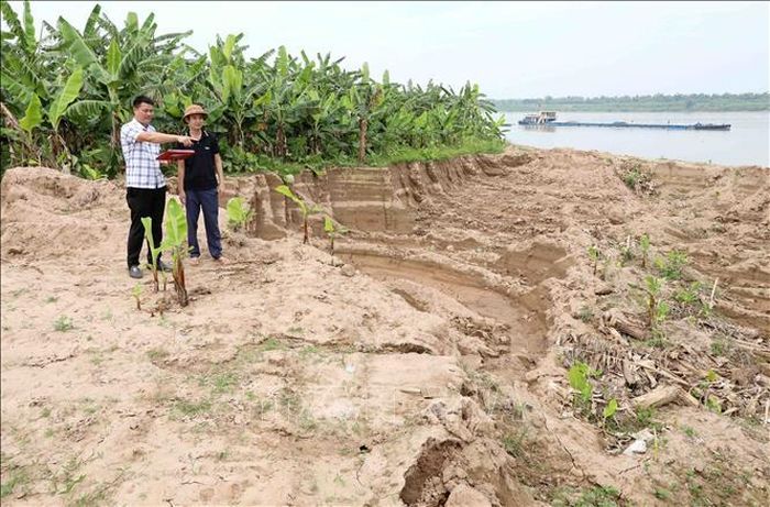 Hàng nghìn mét khối đất tại cánh đồng thôn Phương Trù, xã Châu Ninh (Hưng Yên) bị đào, múc trộm. Ảnh: Thế Duyệt/TTXVN